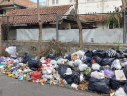 Pekan baru Darurat Sampah! Pemkot Janji Tuntaskan dalam 2 Hari
